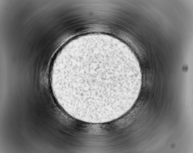 X0000103930828200810101351