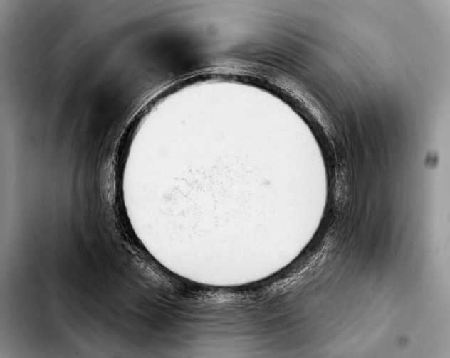 X0000103930829200810101351