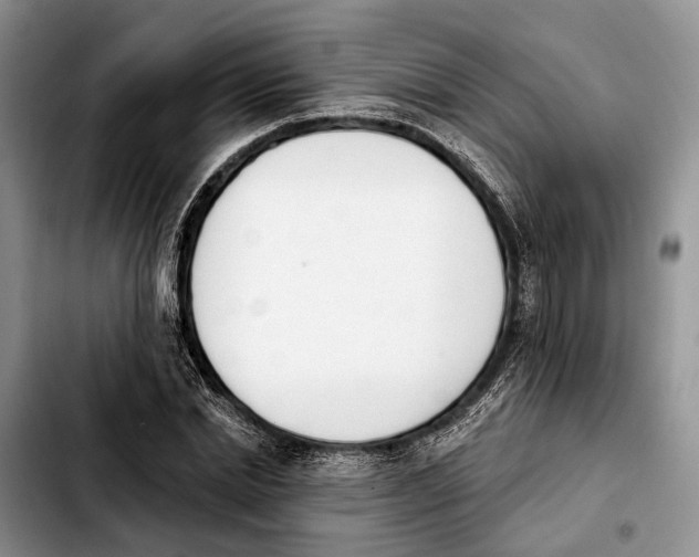 X0000103930830200810101351