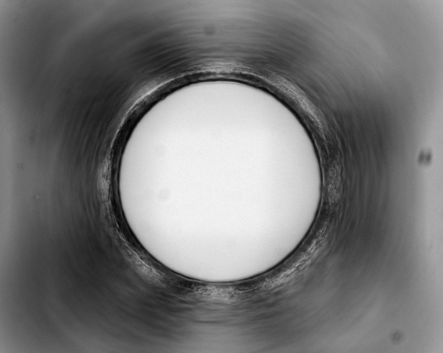 X0000103930831200810101351