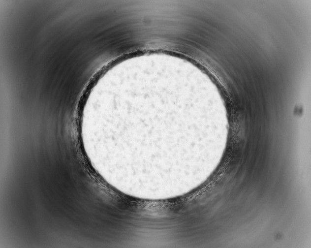 X0000103930832200810101351