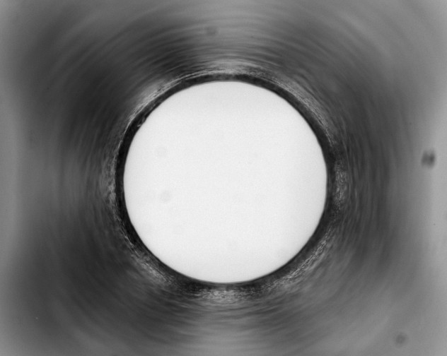 X0000103930834200810101351