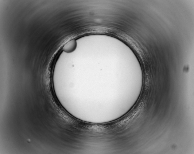 X0000103930835200810101351