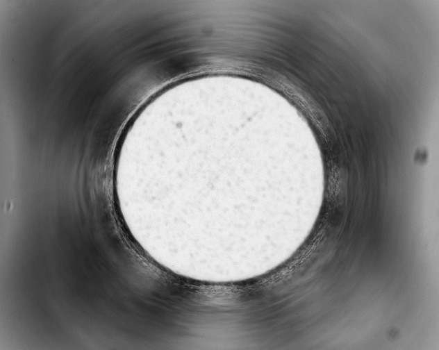 X0000103930836200810101351