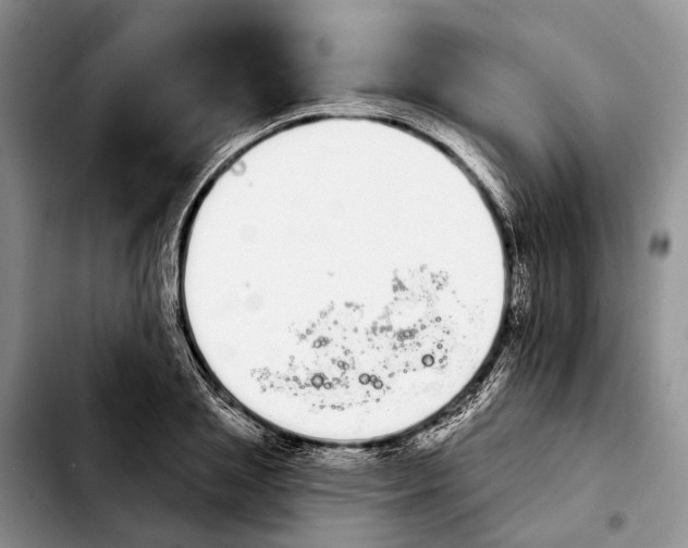 X0000103930837200810101351