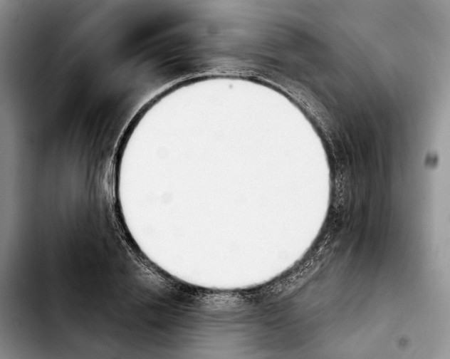 X0000103930838200810101351