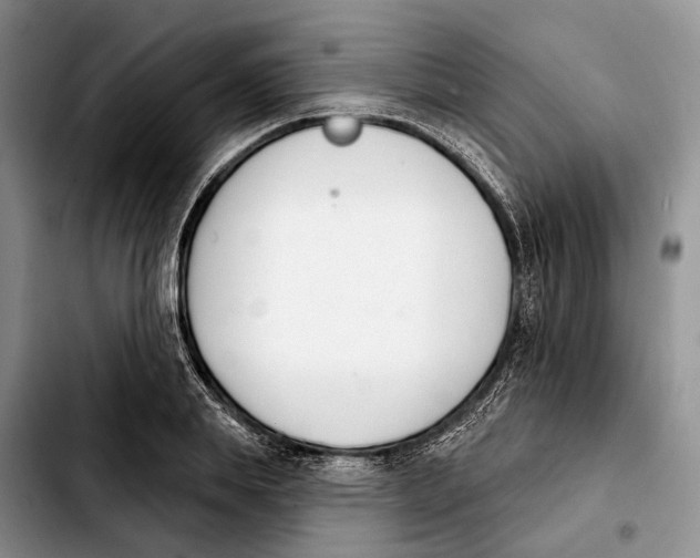 X0000103930839200810101351