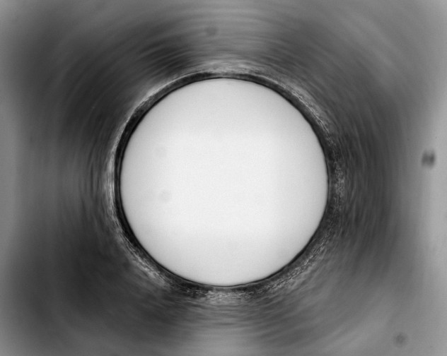 X0000103930840200810101351