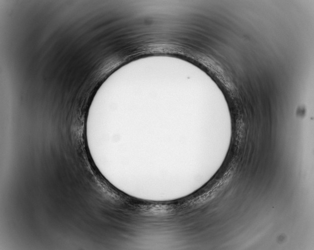 X0000103930841200810101351