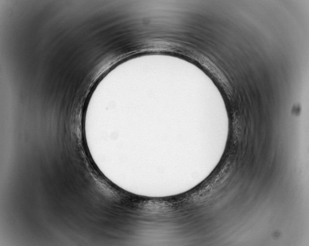 X0000103930842200810101351