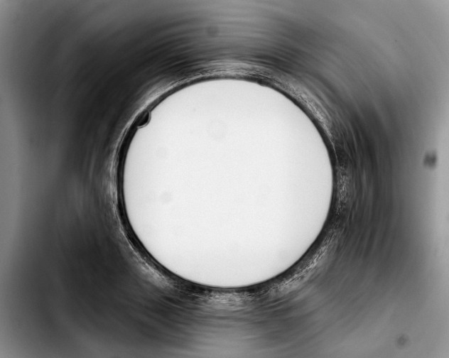 X0000103930843200810101352