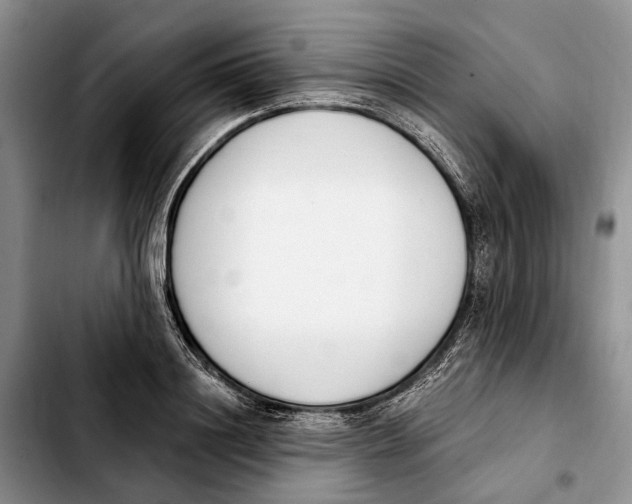 X0000103930844200810101352