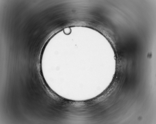 X0000103930845200810101352