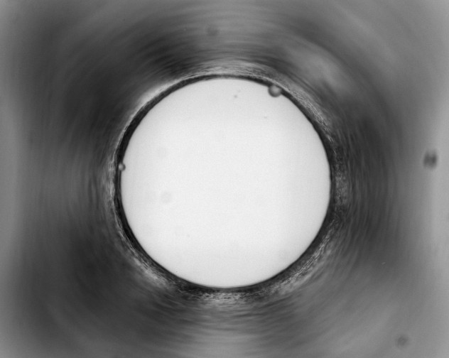 X0000103930846200810101352