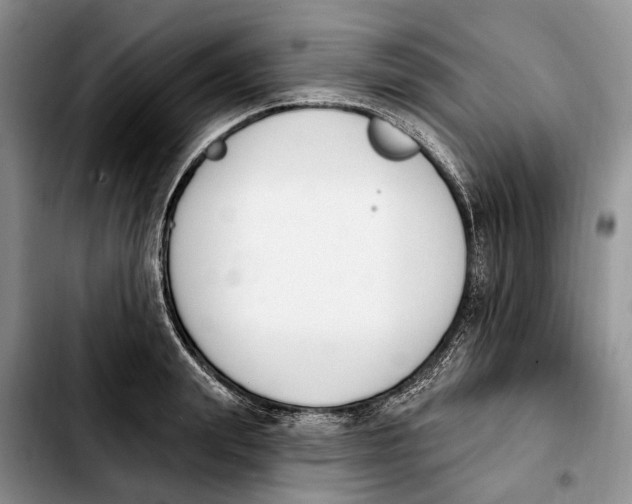 X0000103930847200810101352