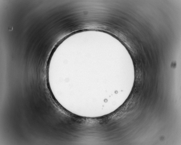 X0000103930848200810101352