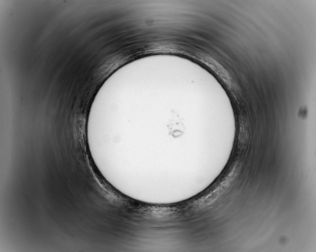 X0000103930849200810101352