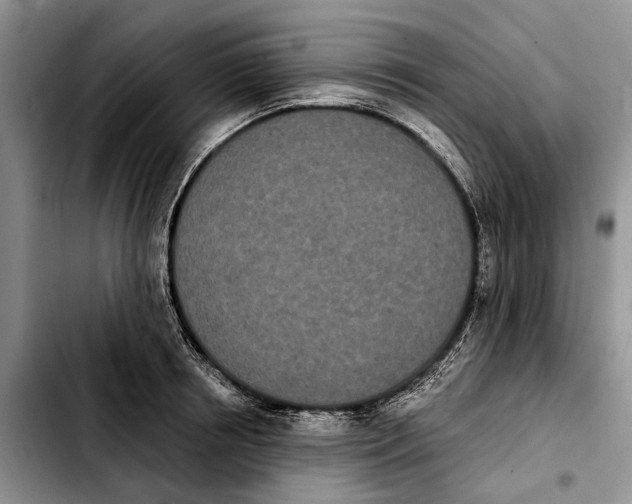 X0000103930850200810101352