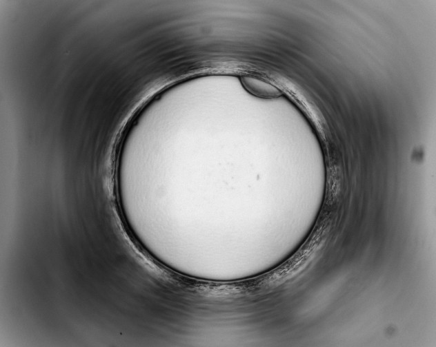 X0000103930851200810101352