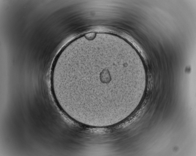 X0000103930853200810101352