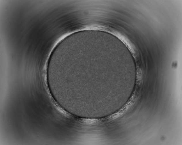 X0000103930854200810101352