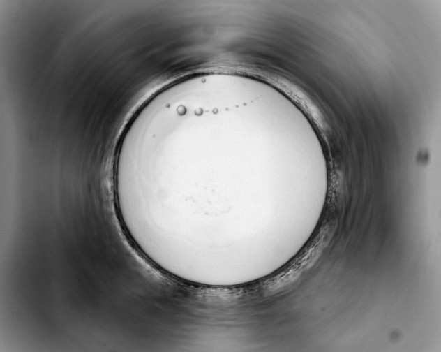 X0000103930855200810101352