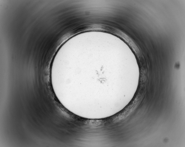 X0000103930858200810101352