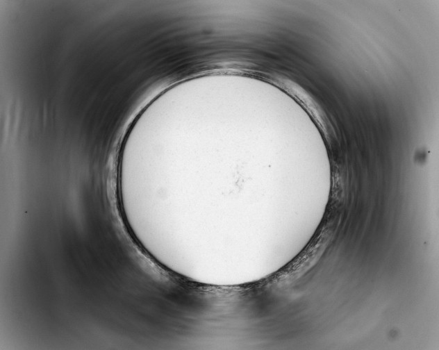 X0000103930859200810101352