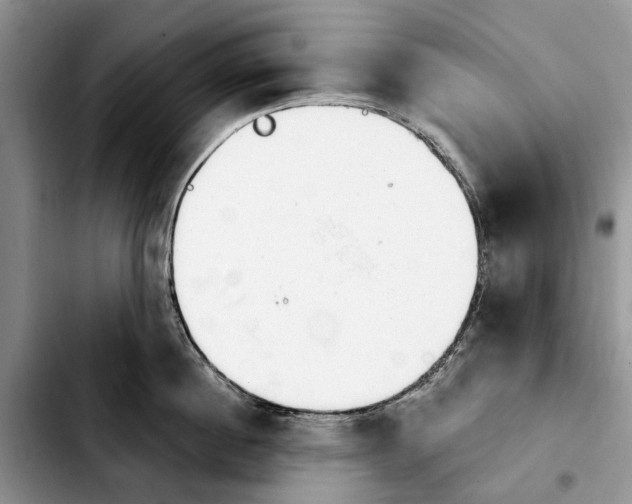 X0000103930860200810101352