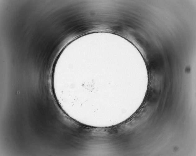 X0000103930861200810101352