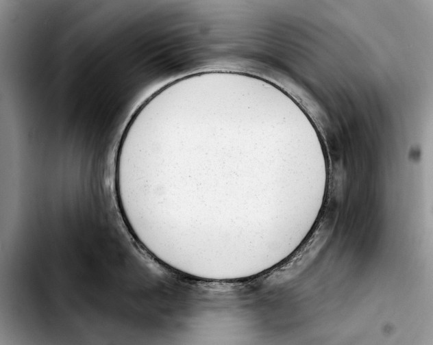 X0000103930862200810101352