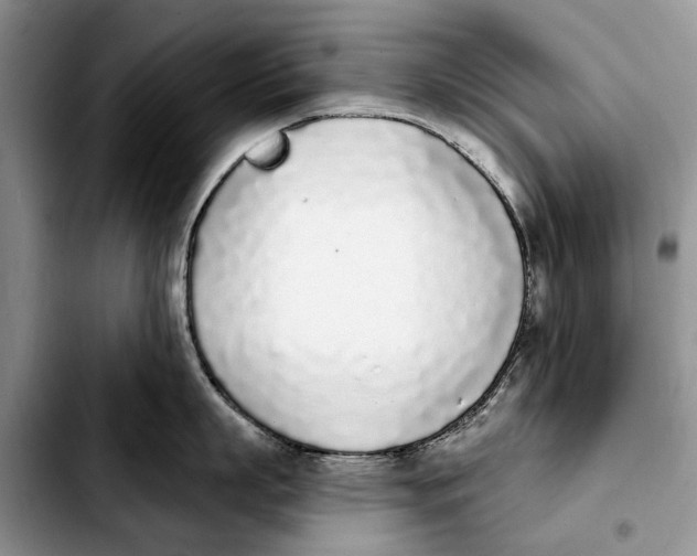 X0000103930863200810101352