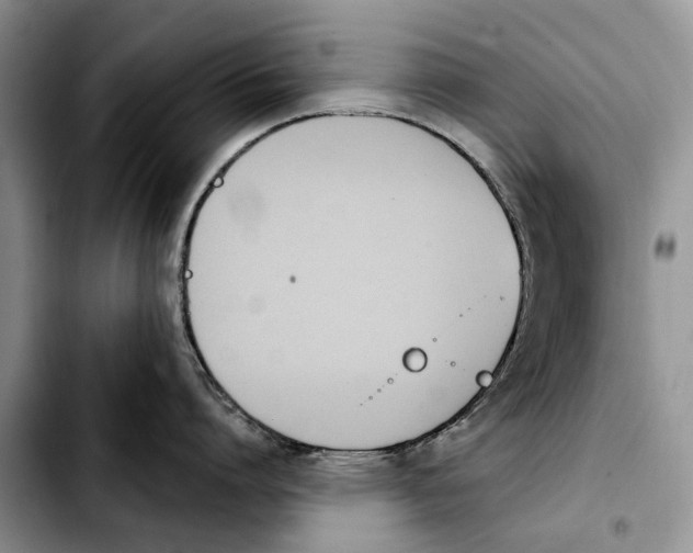 X0000103930864200810101352