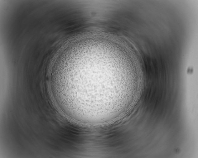 X0000103930865200810101351