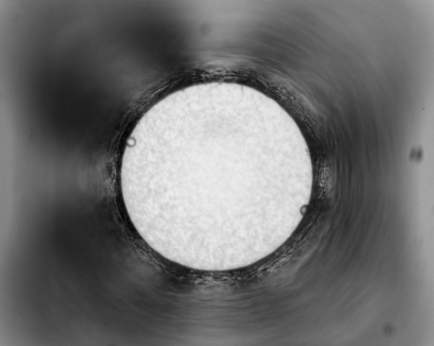 X0000103930868200810101351