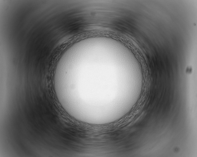 X0000103930869200810101351