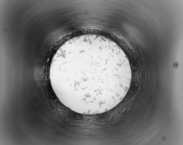 X0000103930870200810101351