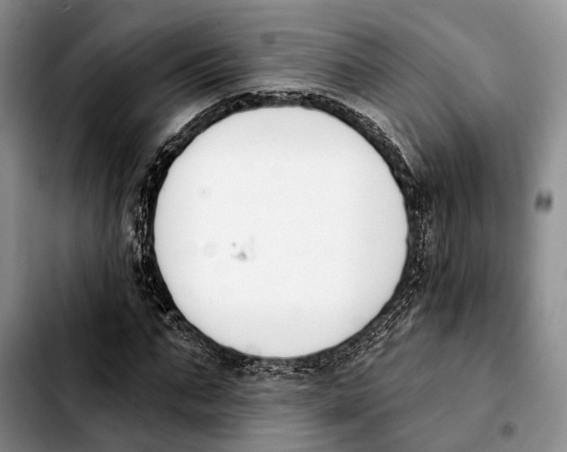 X0000103930871200810101351