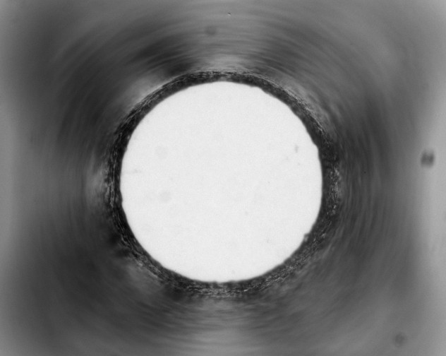 X0000103930872200810101351