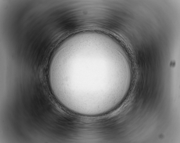 X0000103930873200810101351