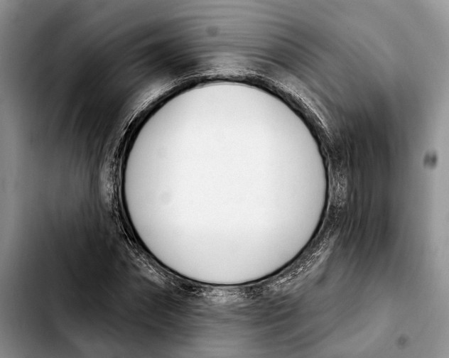 X0000103930874200810101351