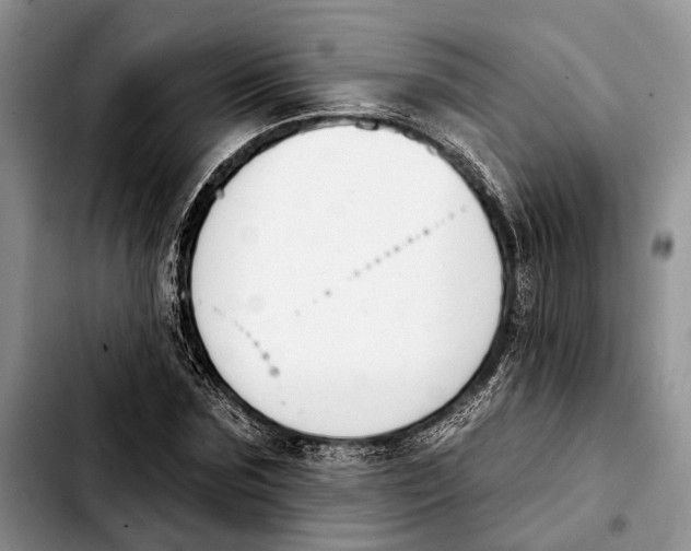 X0000103930875200810101351