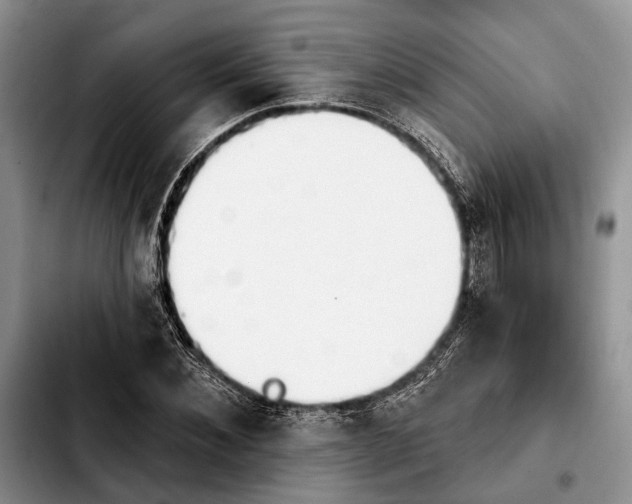 X0000103930876200810101351