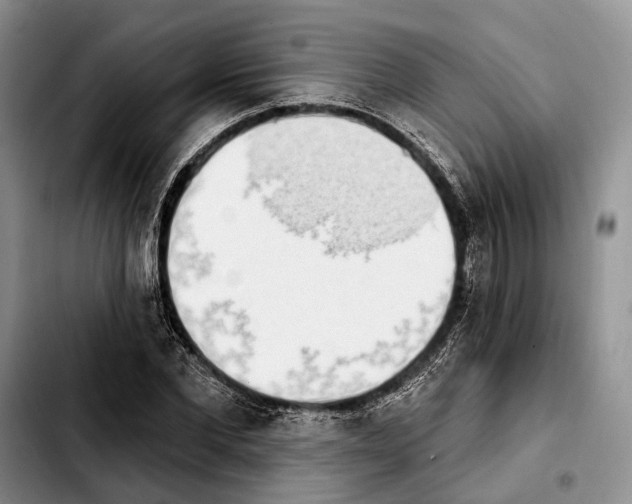 X0000103930877200810101351