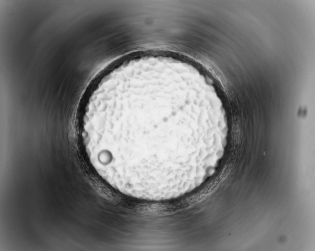 X0000103930879200810101351