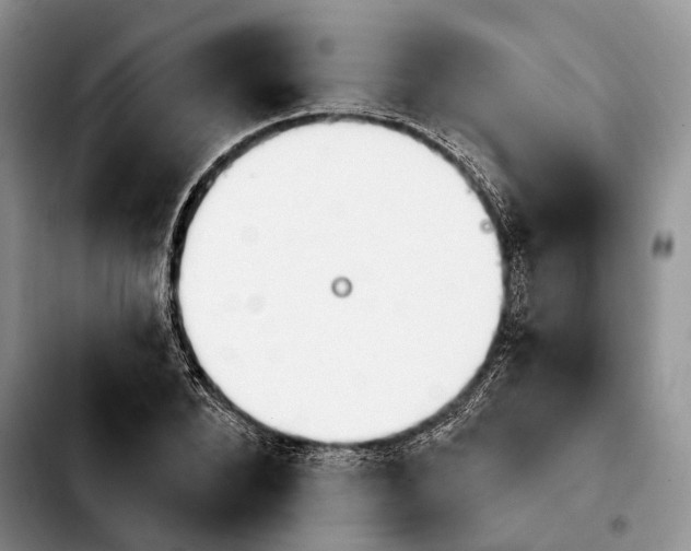 X0000103930880200810101351