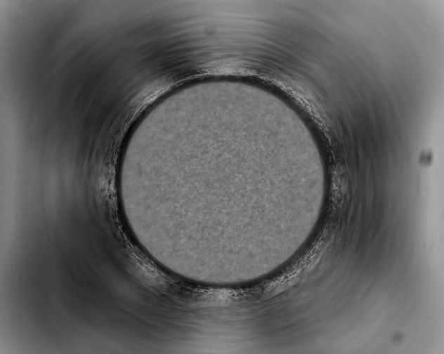 X0000103930881200810101351