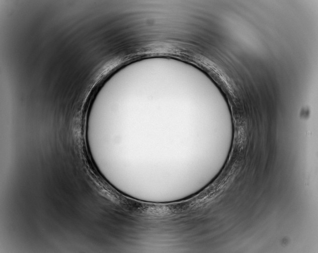 X0000103930882200810101351