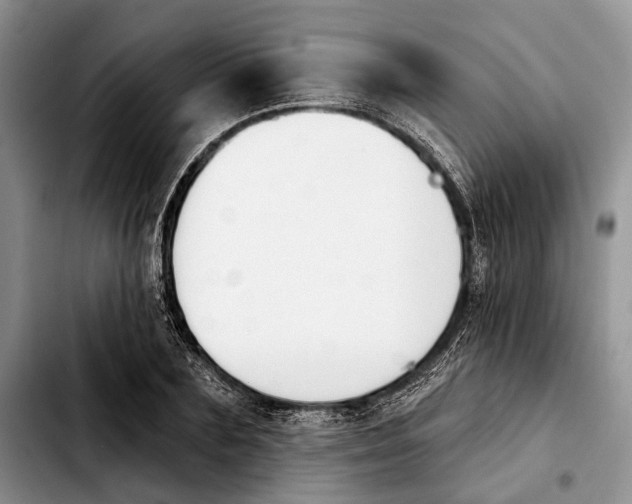 X0000103930883200810101351