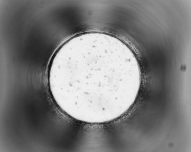 X0000103930884200810101351